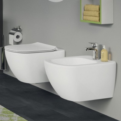 BIDEU TESI SUSPENDAT, FIXARE COMPLET ASCUNSA, 53X36